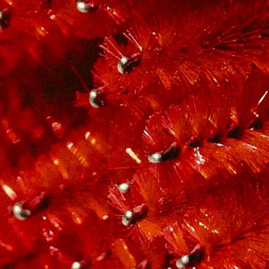 Spring deluxe facial wax at Sisterwax and esthetics in White plains, NY